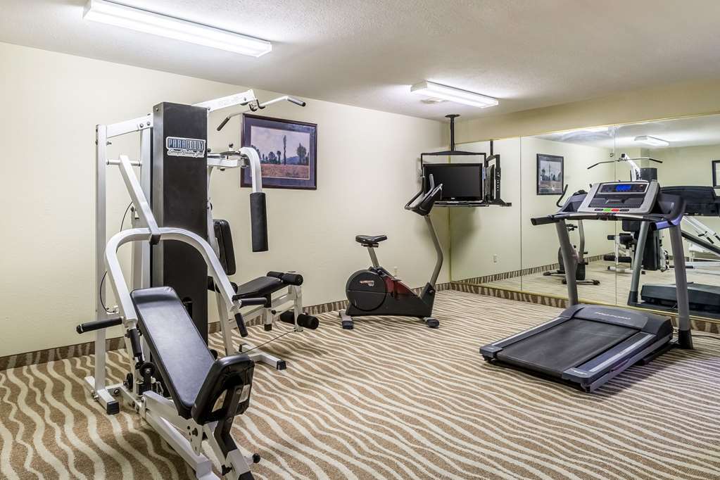 Quality Inn & Suites North Lima - Boardman Удобства фото